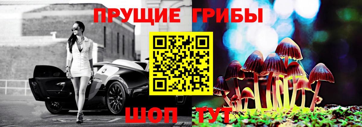 Галлюциногенные грибы прущие грибы Лабинск